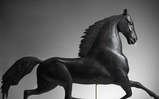 Smithsonian regala 2,8 milioni di immagini con CC0