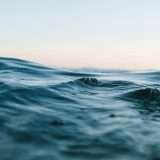 Tidal: l'IA di Google per studiare gli oceani