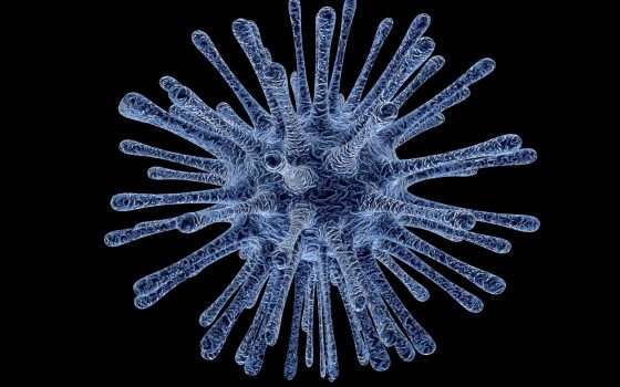 Gates aveva previsto tutto? No, aveva visto l'ovvio