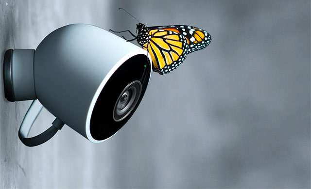 Nest Cam Outdoor