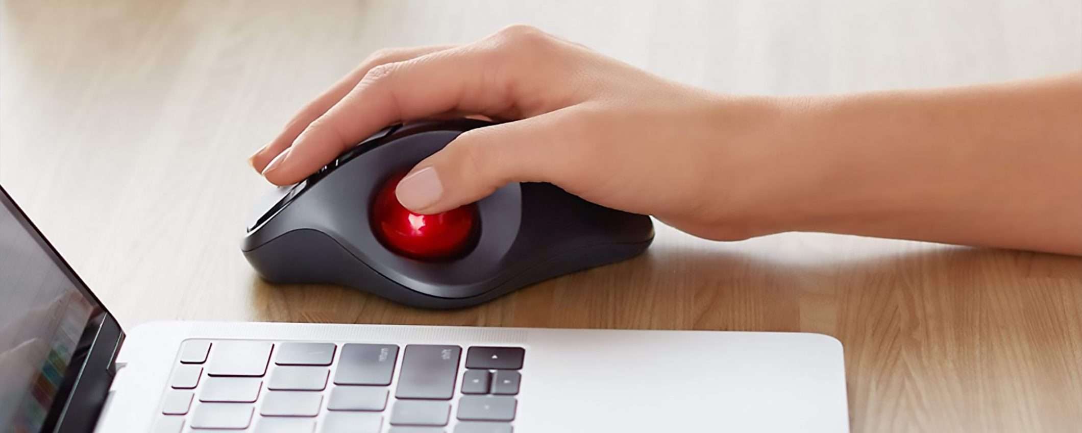 Il mouse con trackball wireless di Amazon