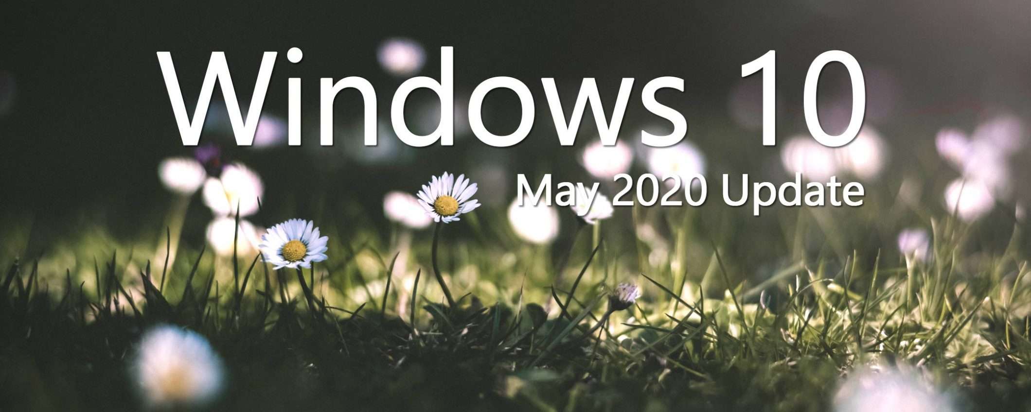 Windows 10 May 2020 Update, ci siamo quasi