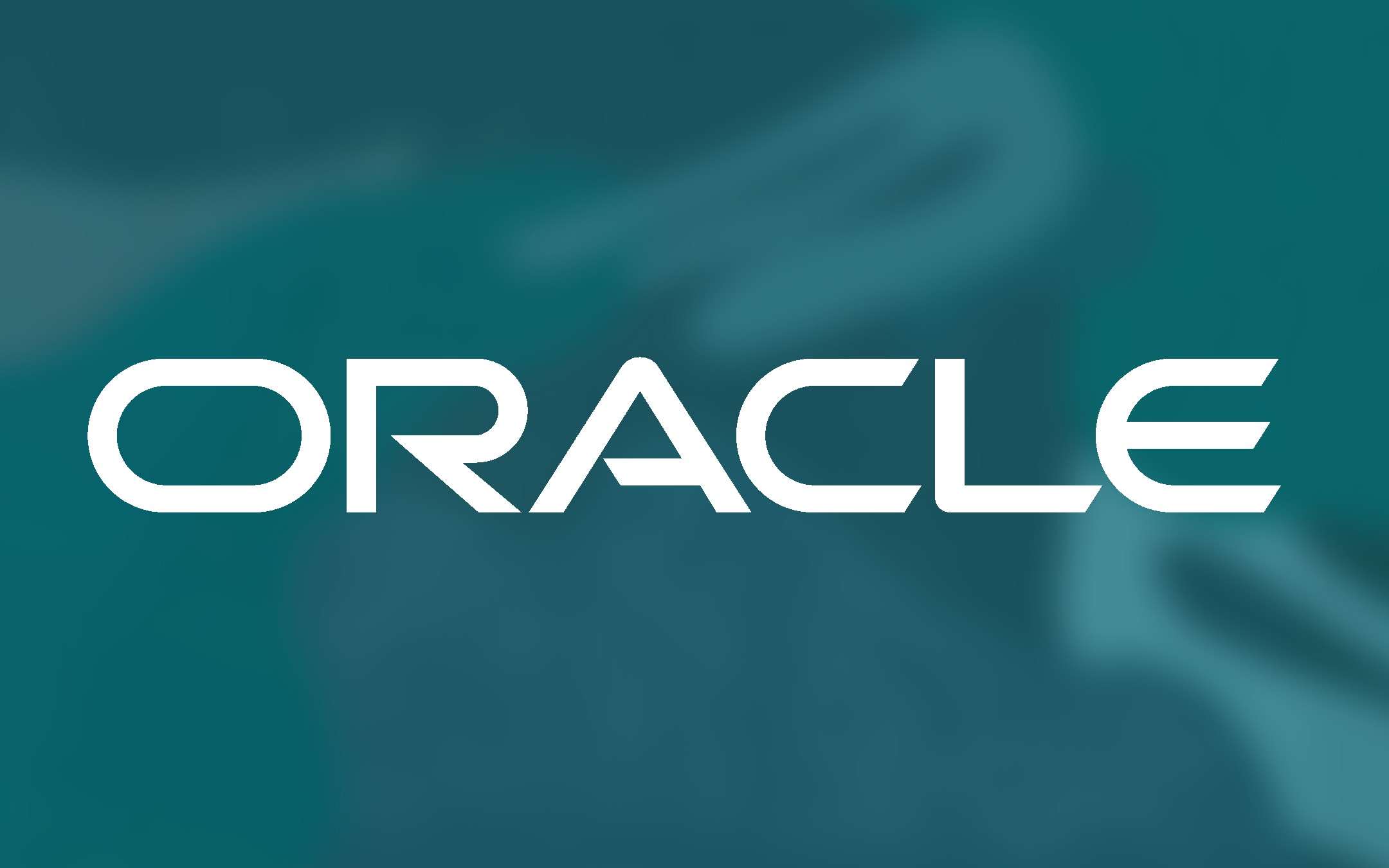 CHE COS L AZIENDA ORACLE visual data 6