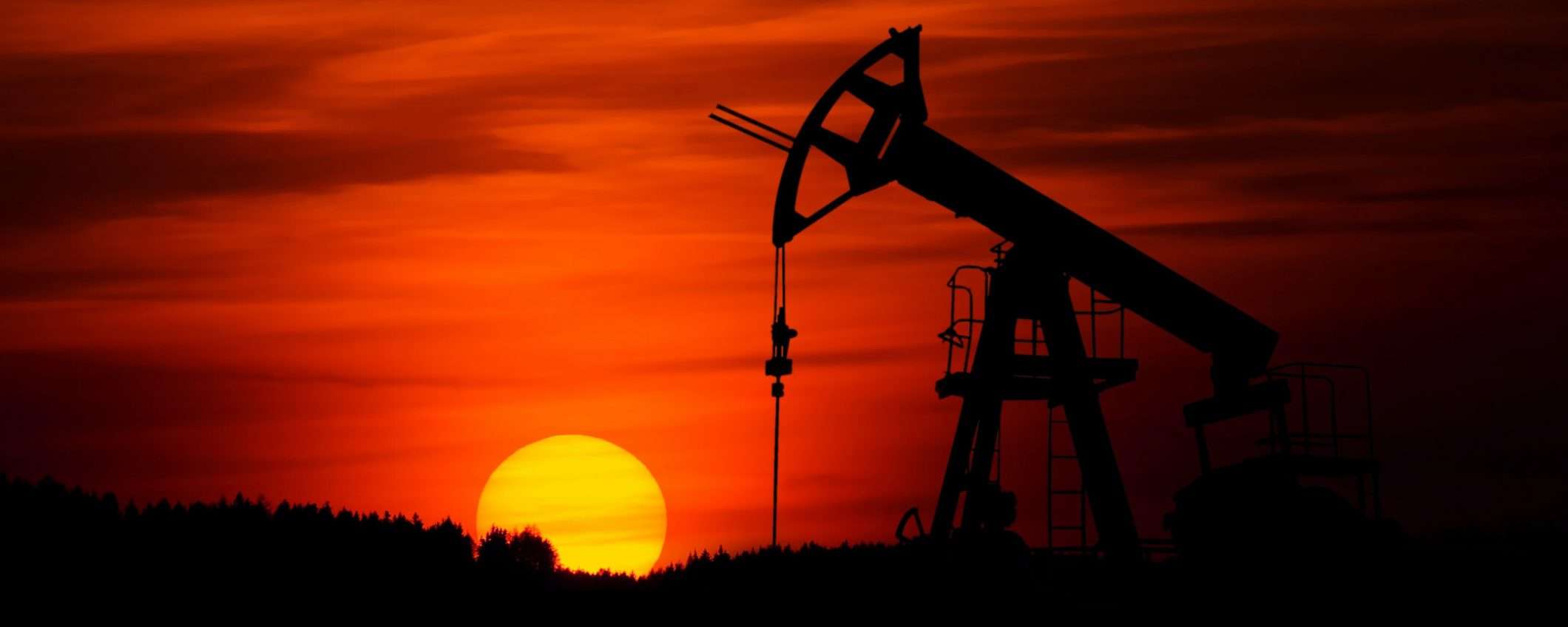 L'IA di Google sarà solo per chi non inquina