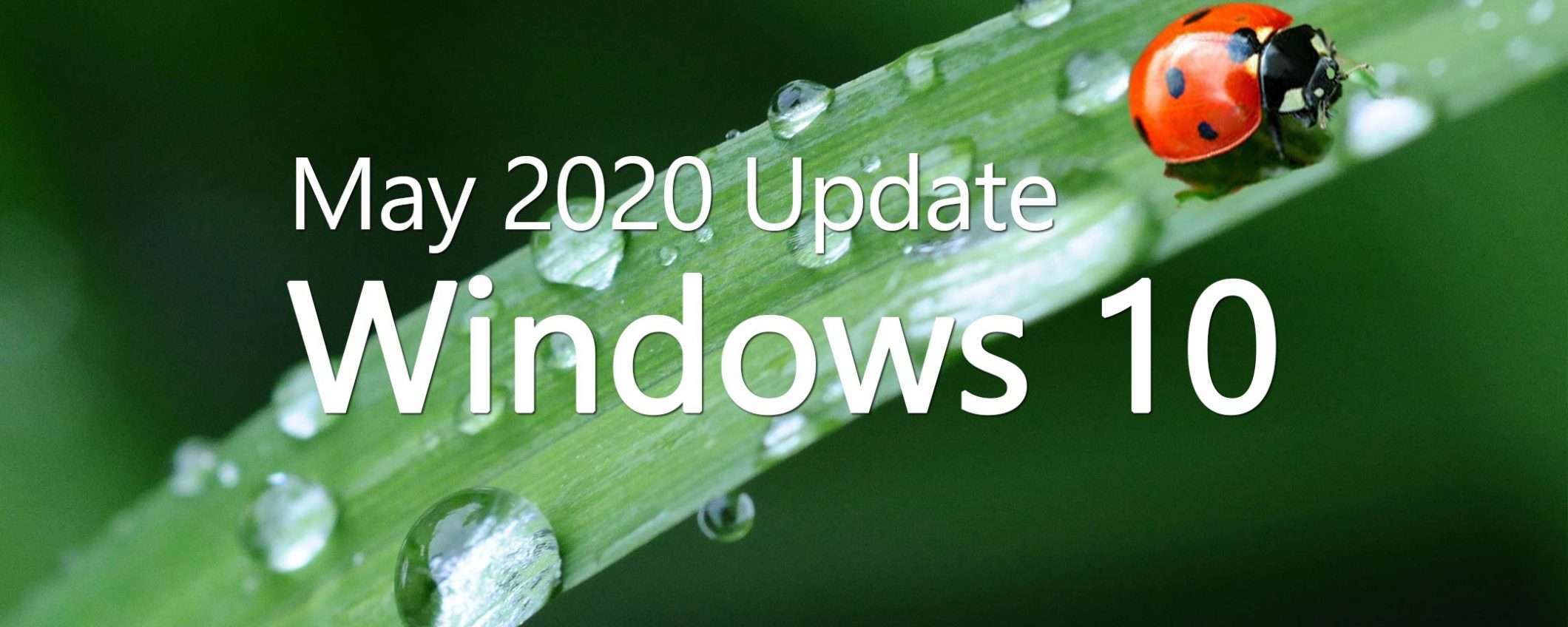 Windows 10 May 2020 Update, prosegue il rollout