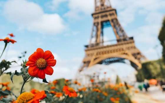 Francia: la rimozione in un'ora è incostituzionale