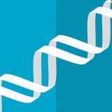 Pisa, Cambridge e Cardiff: l'Università sceglie Dell