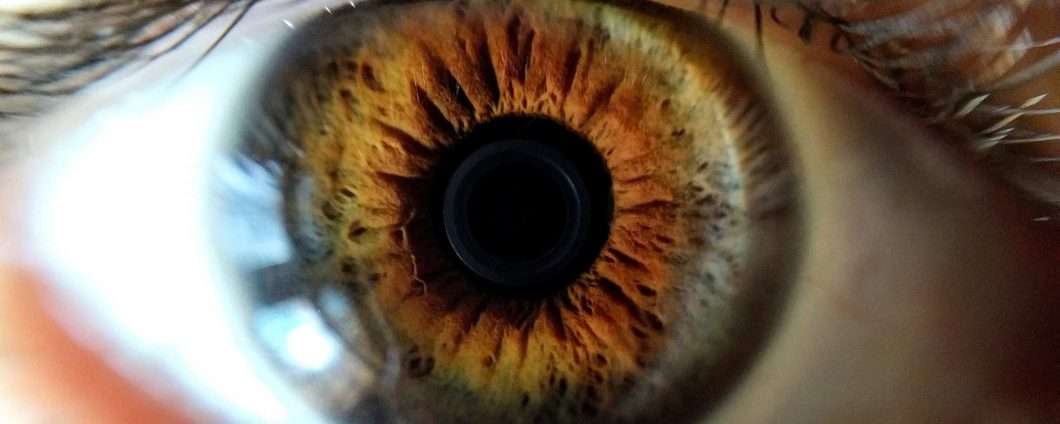 EC-Eye è l'occhio bionico creato in laboratorio