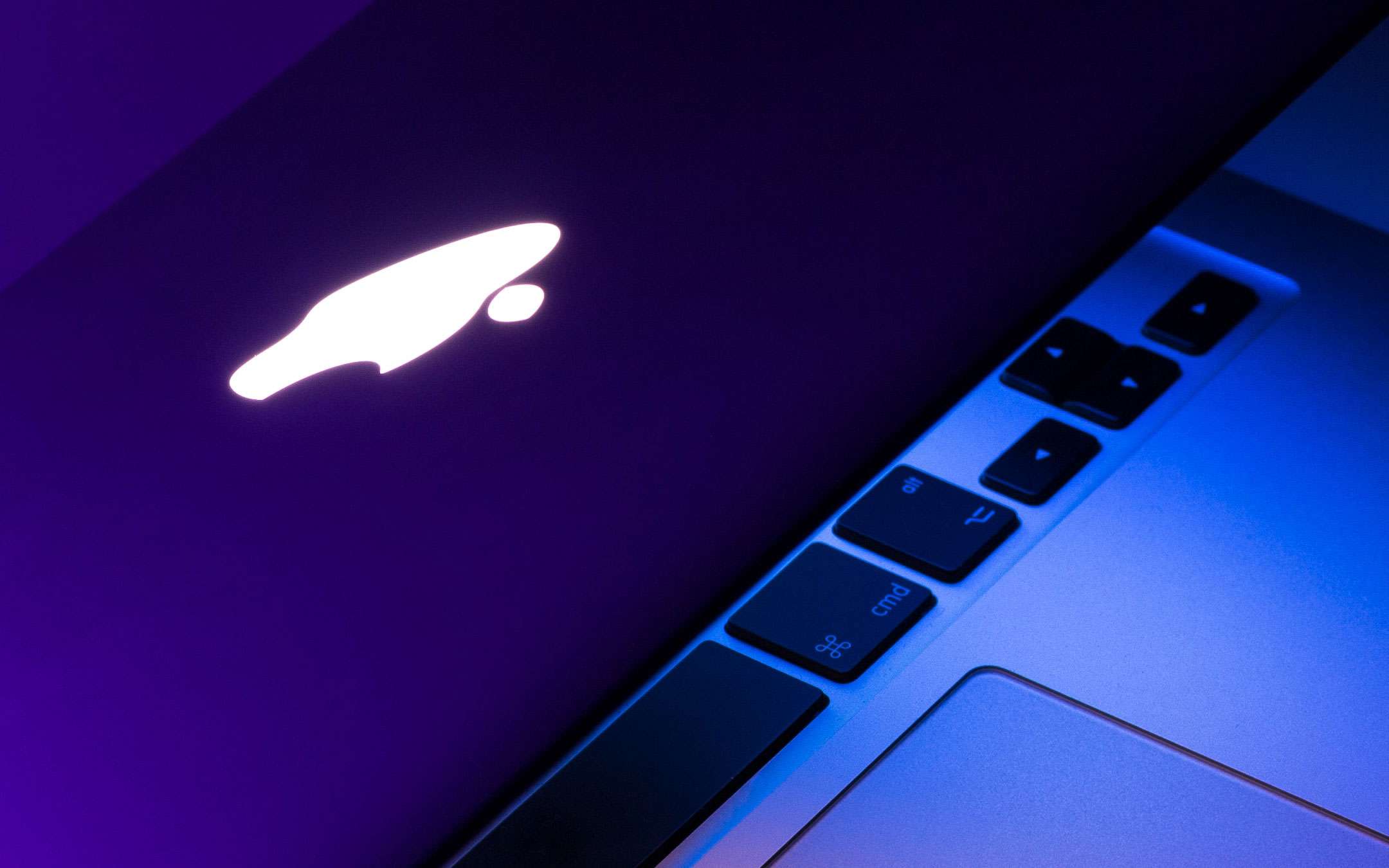 Will the next MacBooks and iPads come from Vietnam? Will the next MacBooks and iPads come from Vietnam?