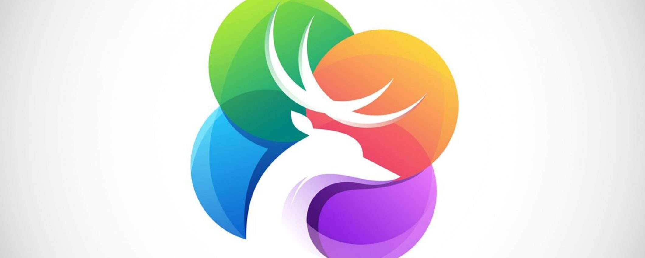 Arriva Pyte, il marketplace italiano del lavoro