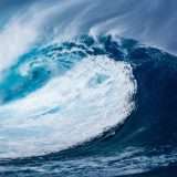 Tsunami open source: la scelta di Google