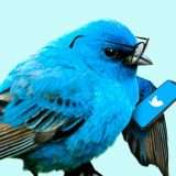 Twitter: Birdwatch contro la disinformazione
