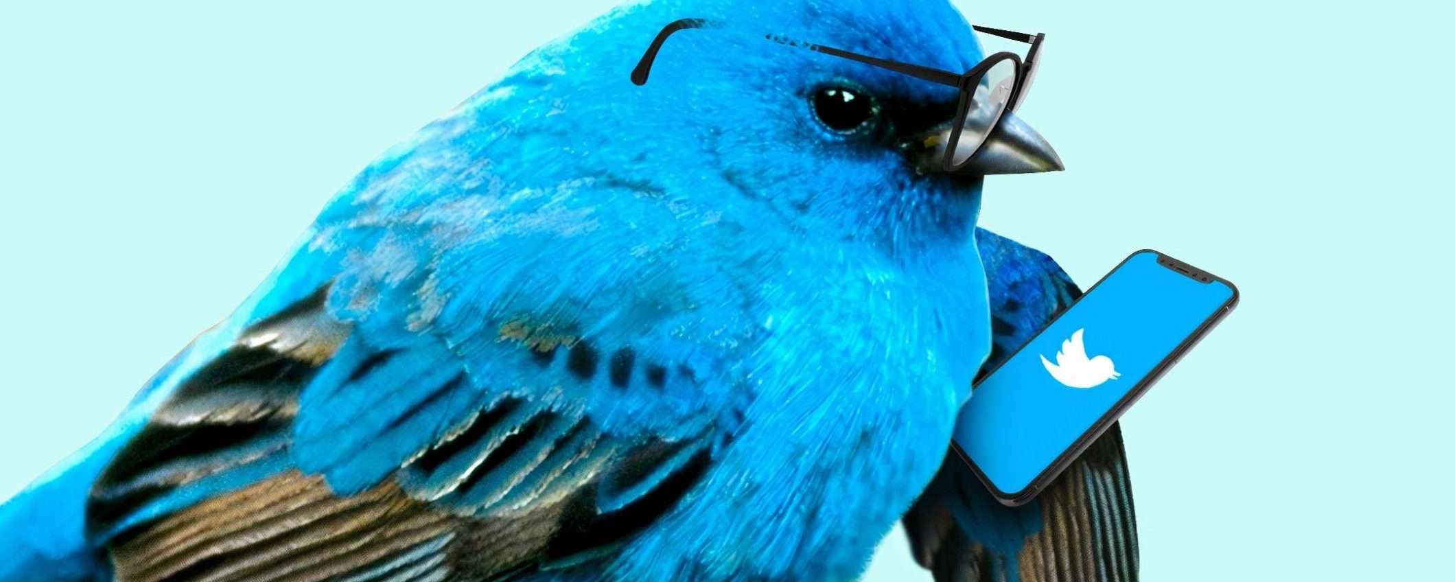 Twitter: Birdwatch contro la disinformazione