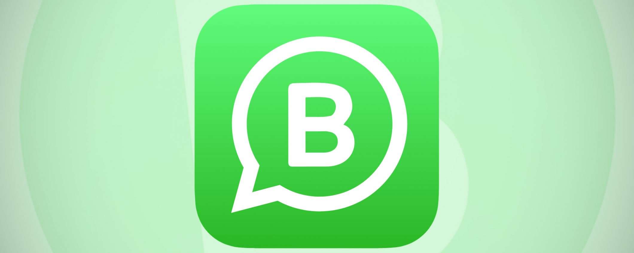 WhatsApp Business: Facebook annuncia tre novità