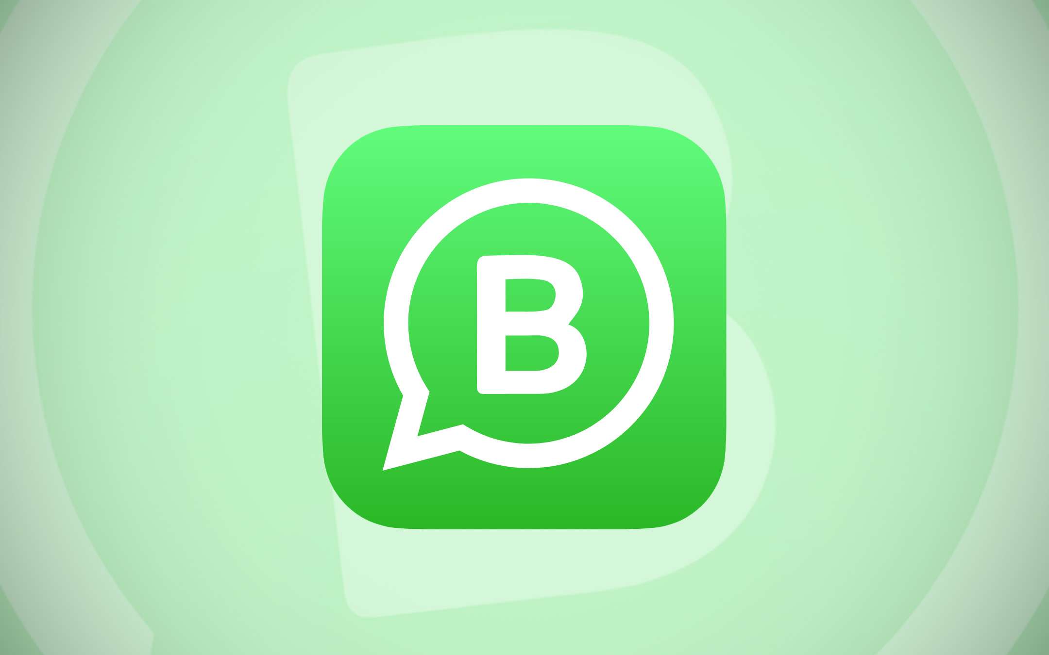 WhatsApp Business: 50 million users and news