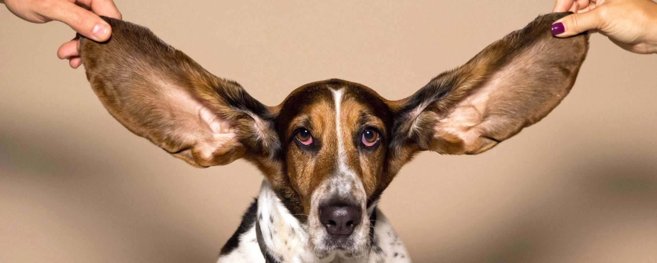 Google Ad Manager: novità per le inserzioni audio