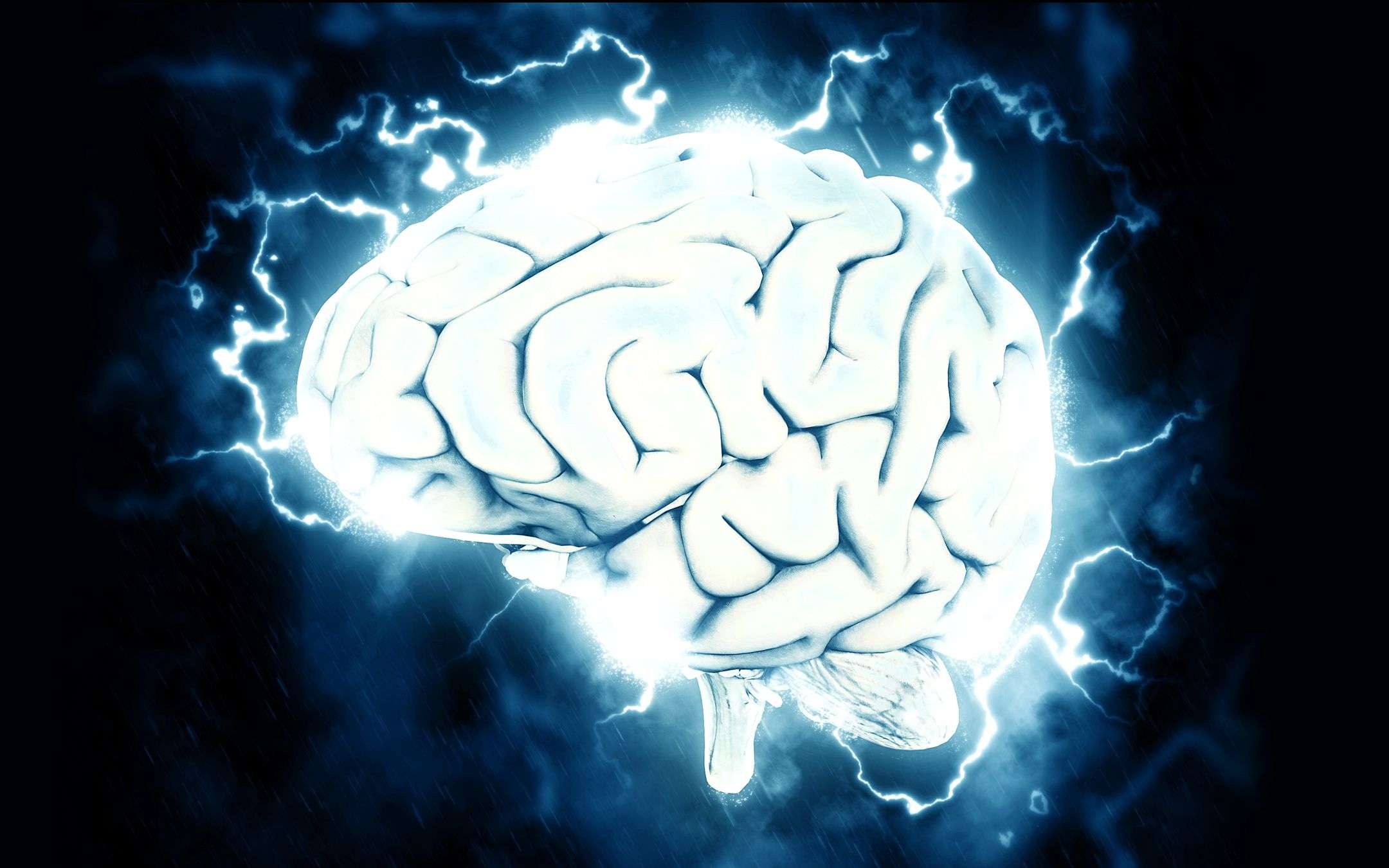 NeuraLink: Musk's proof and ambitions NeuraLink: Musk's proof and ambitions