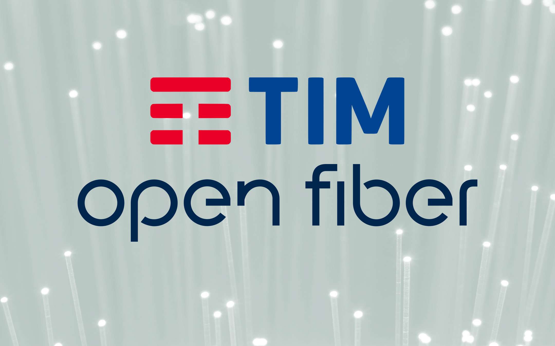 TIM-Open Fiber: the Government presses on the single network TIM-Open Fiber: the Government presses on the single network