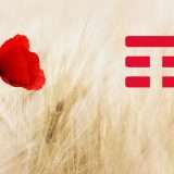 Confagricoltura e TIM: ecco l'Agritech Innovation Hub