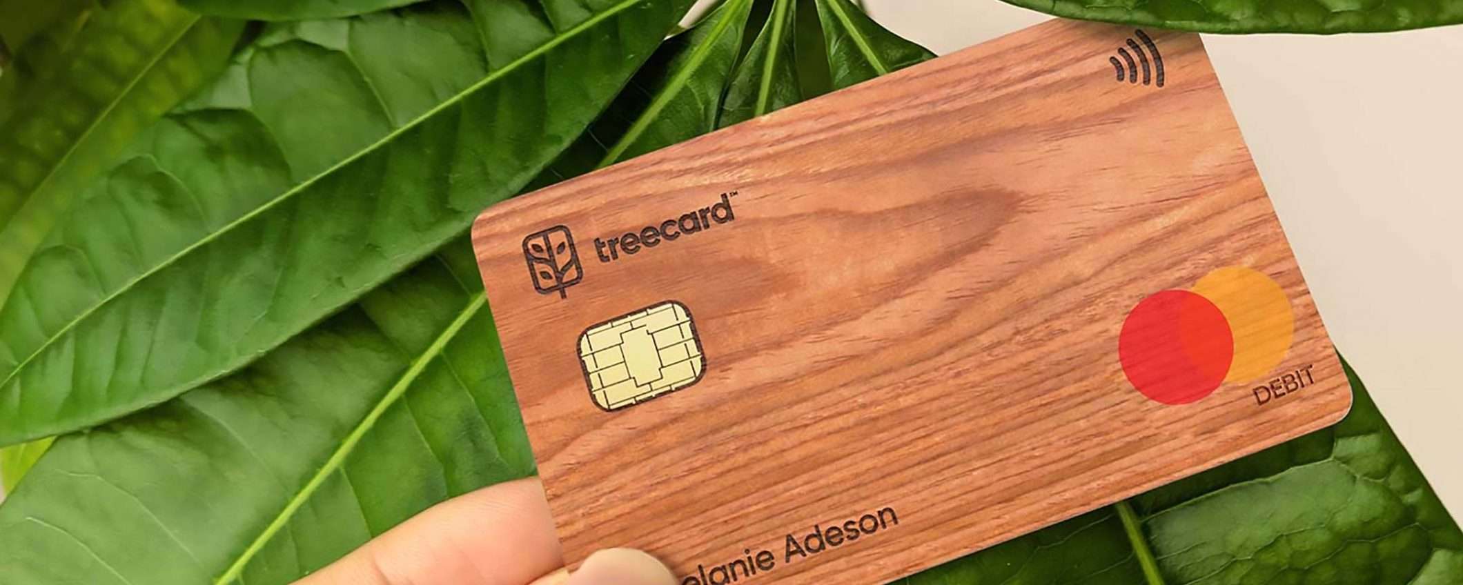 Ecosia presenta la carta di debito TreeCard