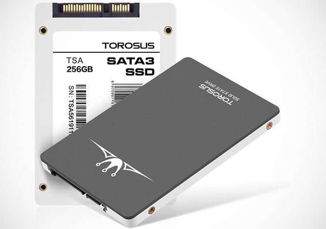 L'unità SSD da 256 GB di Torosus
