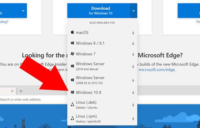 Windows 10X tra le piattaforme per le quali è possibile scaricare le versioni di anteprima del browser Edge