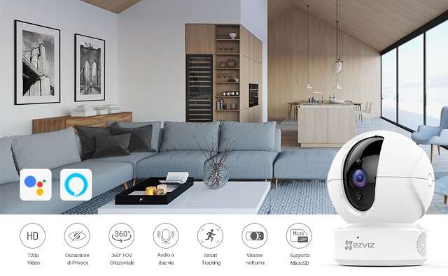 Videocamera di sorveglianza