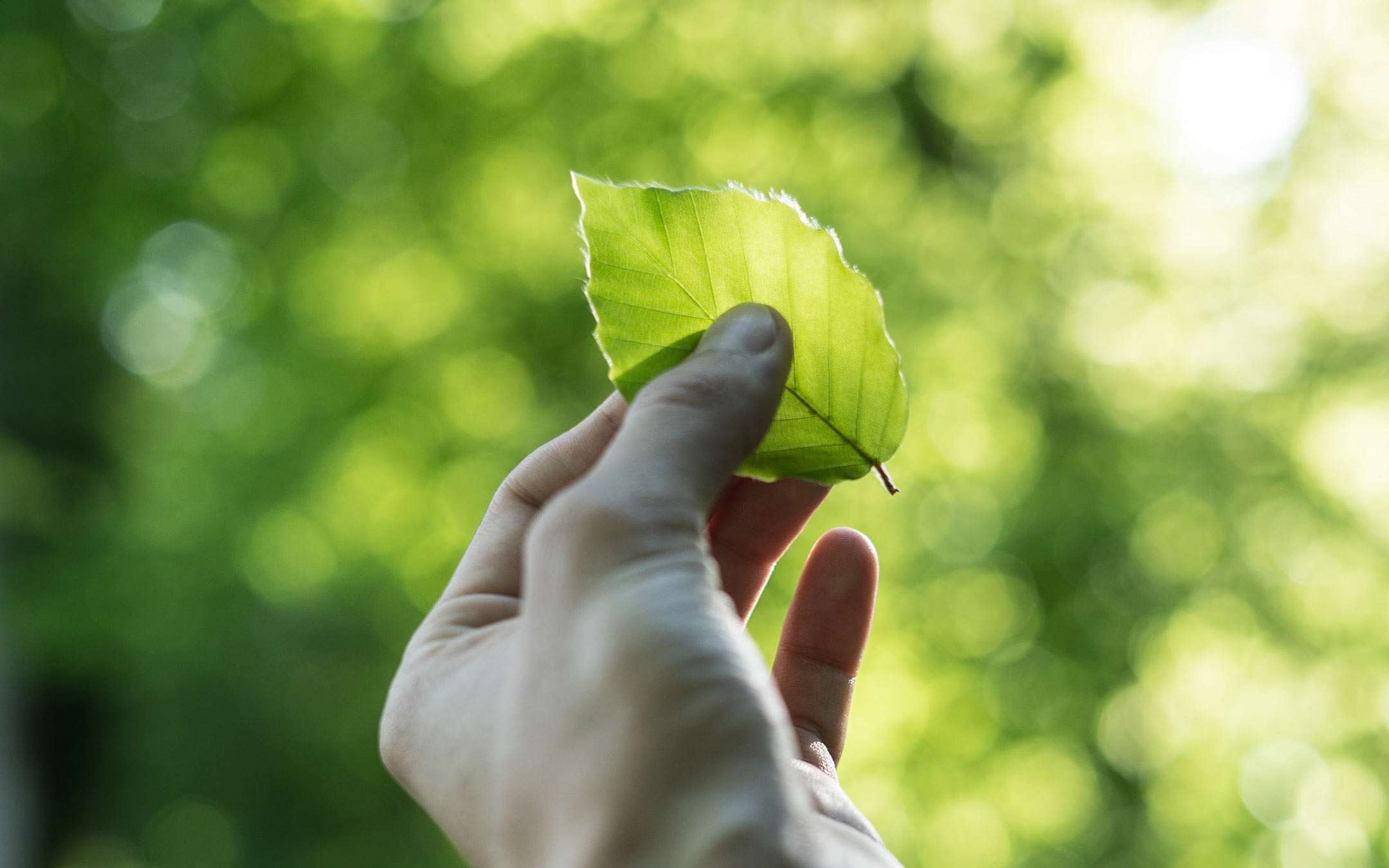 #DigitalRestart: the Alliance for Sustainability #DigitalRestart: the Alliance for Sustainability