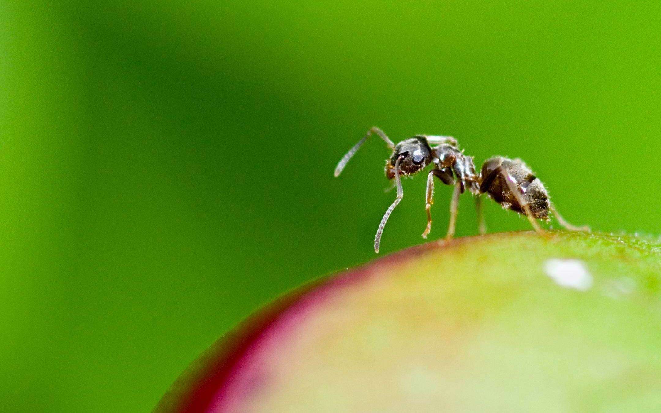 China to Jack Ma: Ant Group back to basics China to Jack Ma: Ant Group back to basics