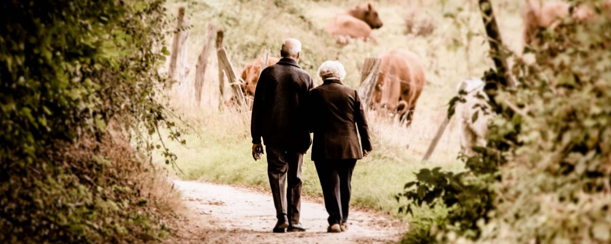 L'Italia non è un paese per vecchi online