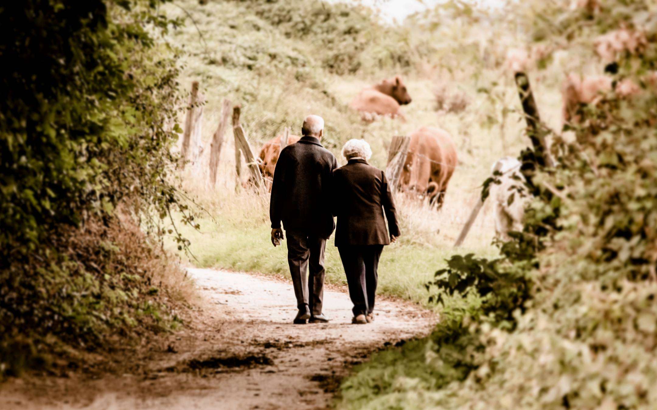 Italy is not a country for old people online