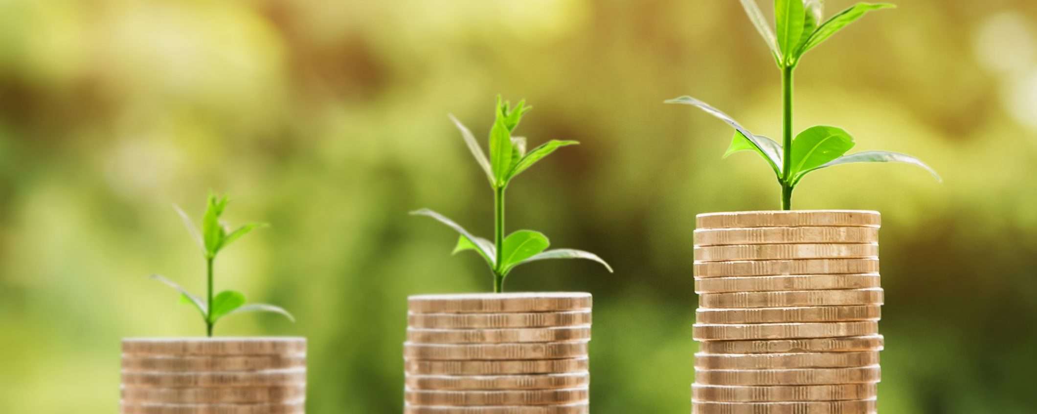 Il cashback funziona già per 3,6 milioni di italiani