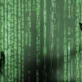 Informative privacy, Bignami cercasi