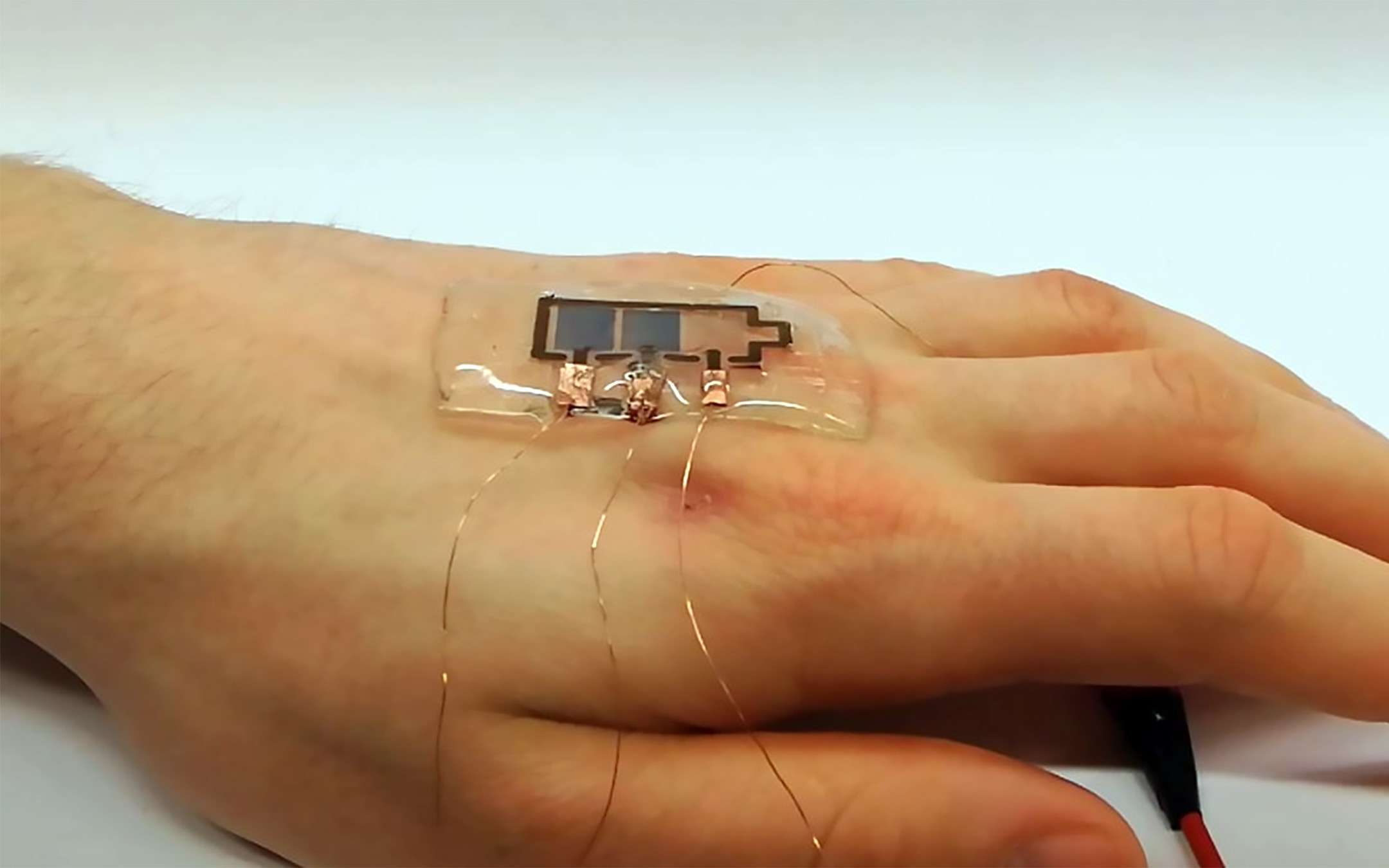 Biodegradable and flexible displays for the skin