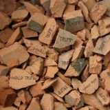 Donald Trump, l'ostracismo dove non arriva la legge