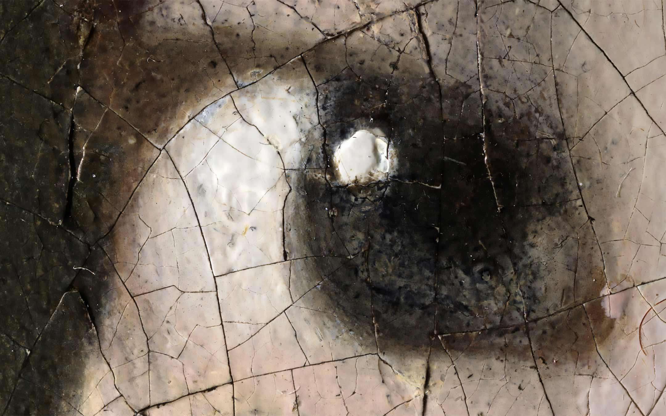 Ragazza Col Turbante Dove Si Trova La Ragazza col turbante di Vermeer come non l'avete mai vista