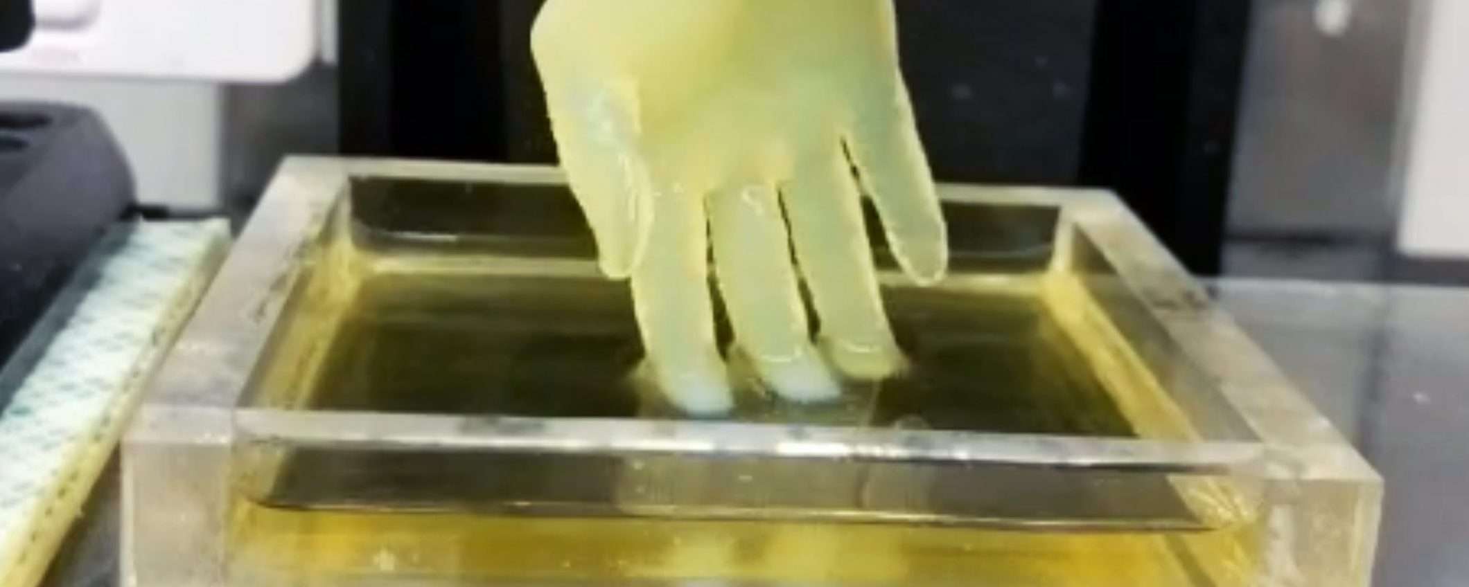 Stampa 3D e organi artificiali: un'idea da Buffalo