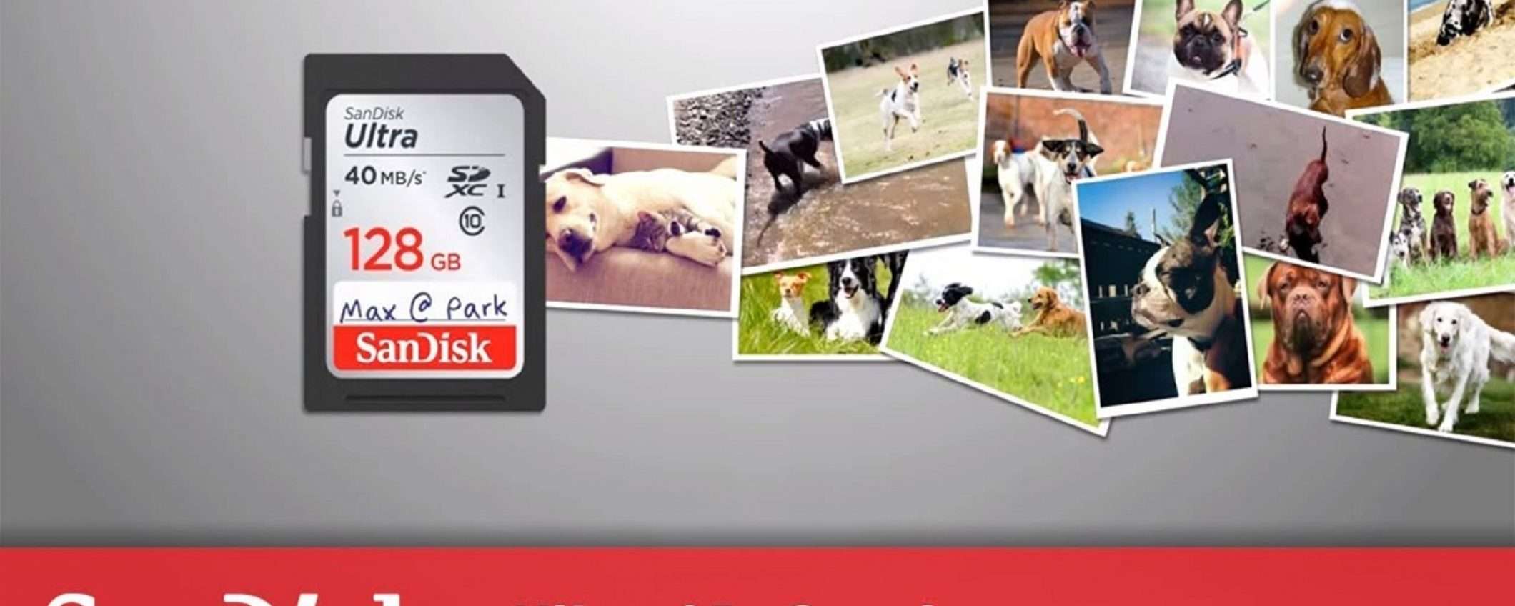 SanDisk Ultra SD da 128GB a soli 18€ su Amazon
