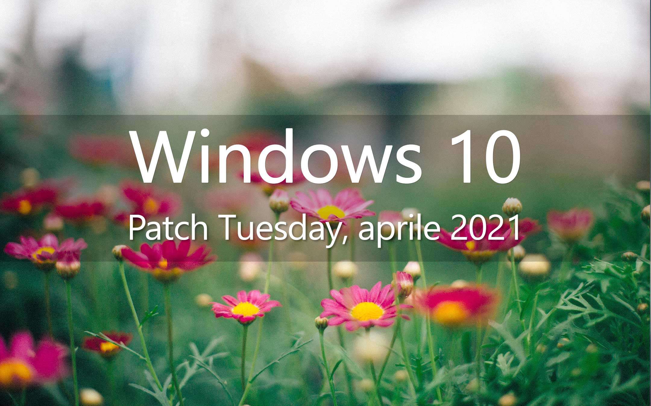 Windows 10: il Patch Tuesday di aprile 2021 risolve 108 ...