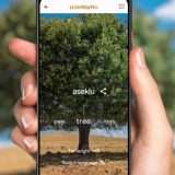 Google Woolaroo: IA per lingue in via di estinzione