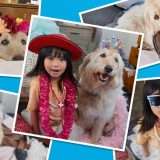 Amazon Photos, cos’è e come funziona il servizio di archiviazione foto