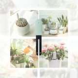 Il tuo pollice verde è Bluetooth e costa ben poco