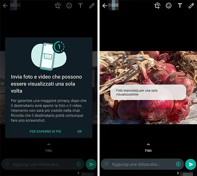 WhatsApp introduce i messaggi che possono essere aperti una volta sola prima dell'eliminazione automatica.