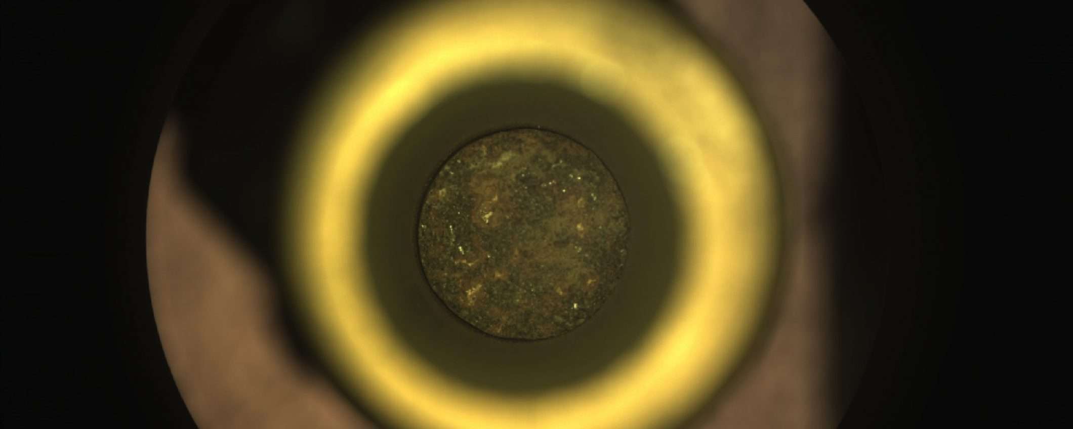 Perseverance: campione di roccia immagazzinato (update)