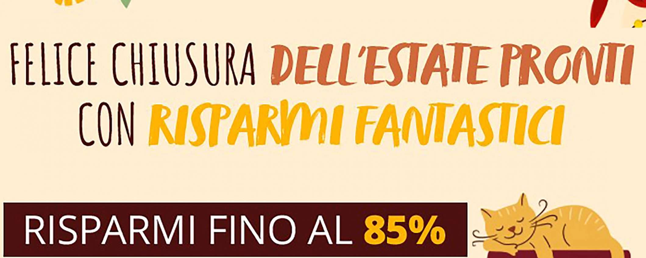 Ashampoo® lancia le offerte di fine estate: da non perdere!