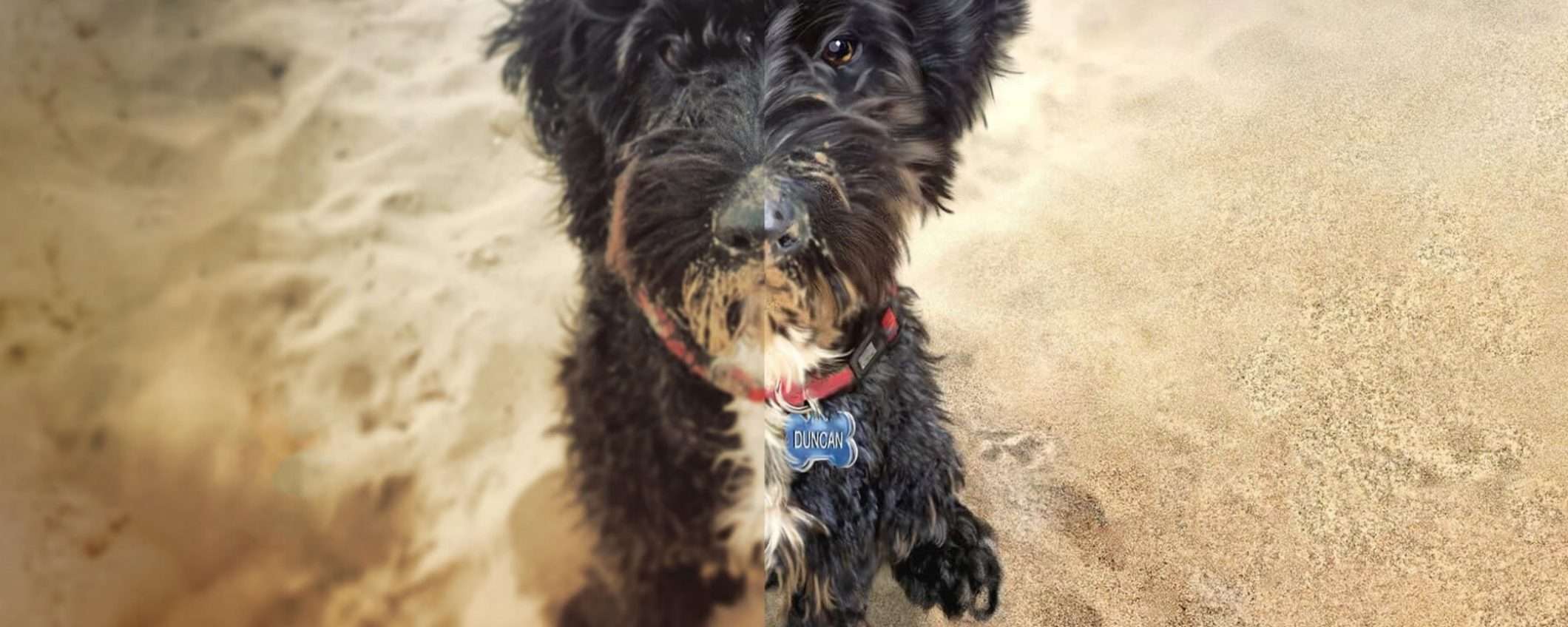 Corel Painter scontato e con un omaggio da 200 euro