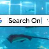Search On '21: Google e le ricerche online