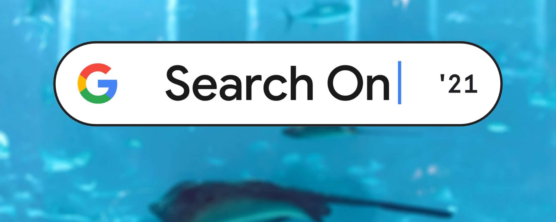 Search On '21: Google e le ricerche online
