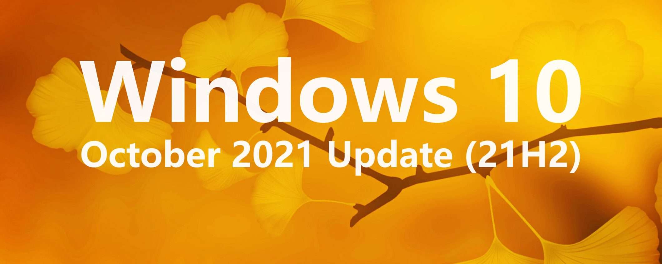 Windows 10 21H2 (October 2021 Update): ci siamo
