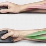 Mouse Trust Verto Wireless: un toccasana per polso e braccio